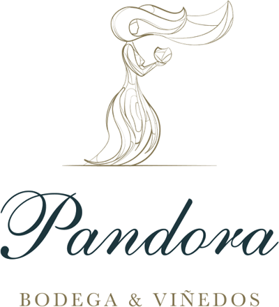 Pandora, bodega y viñedos
